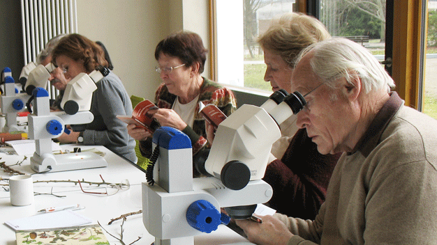 Werden auch Sie Mitglied im Freundeskreis des Botanischen Gartens!