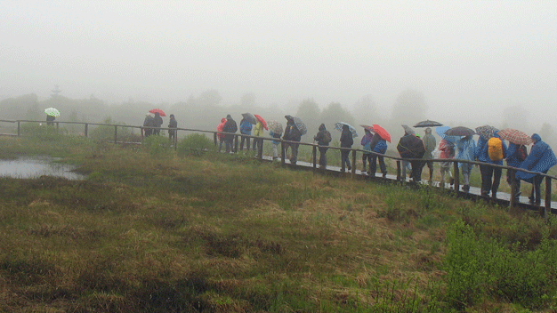 ... veranstaltet Exkursionen und Vortragsreihen ...