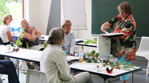 Zeichenkurs mit Anne-Marie Kuprat im September 2018