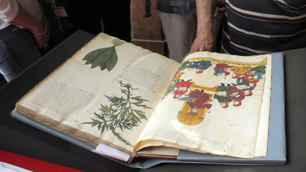 ... unternimmt spannende Reisen.