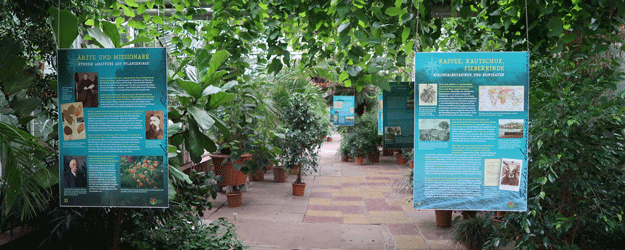 Die Ausstellung 'Forscher, Sammler, Pflanzenjäger - unterwegs mit Humboldt und Co.' des Verbands Botanischer Gärten in den Gewächshäusern des Potsdamer Gartens