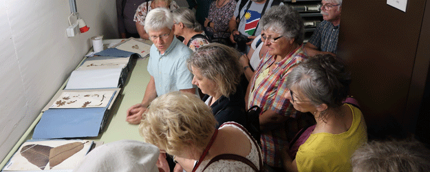 Von Humboldt und Bonpland in Südamerika gesammelte Pflanzen im Herbarium des Botanischen Gartens und Botanischen Museums Berlin