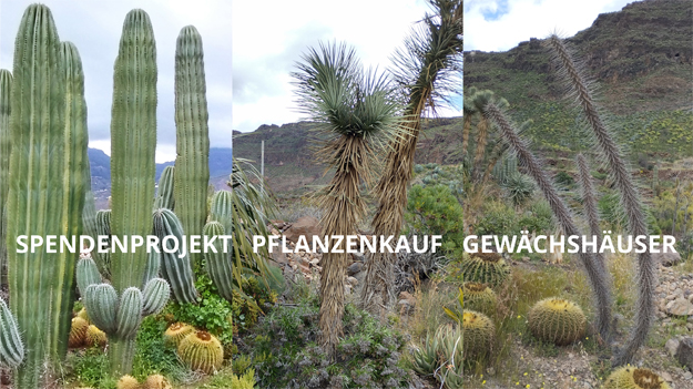 Freundeskreis startet Spendenprojekt für spektakulären Pflanzenkauf